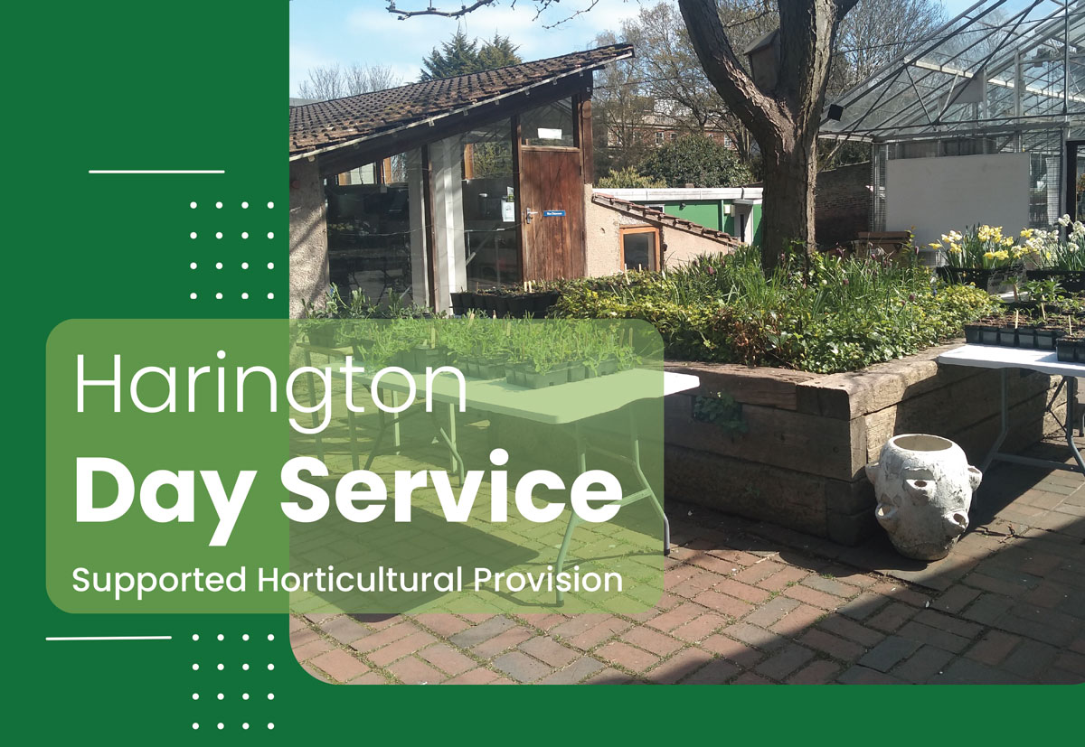 Harington Day Service